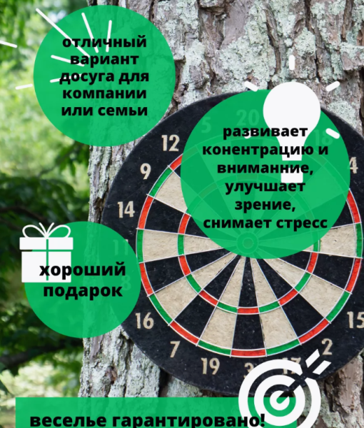 Игра спортивная Дартс 43 см., 6 дротиков